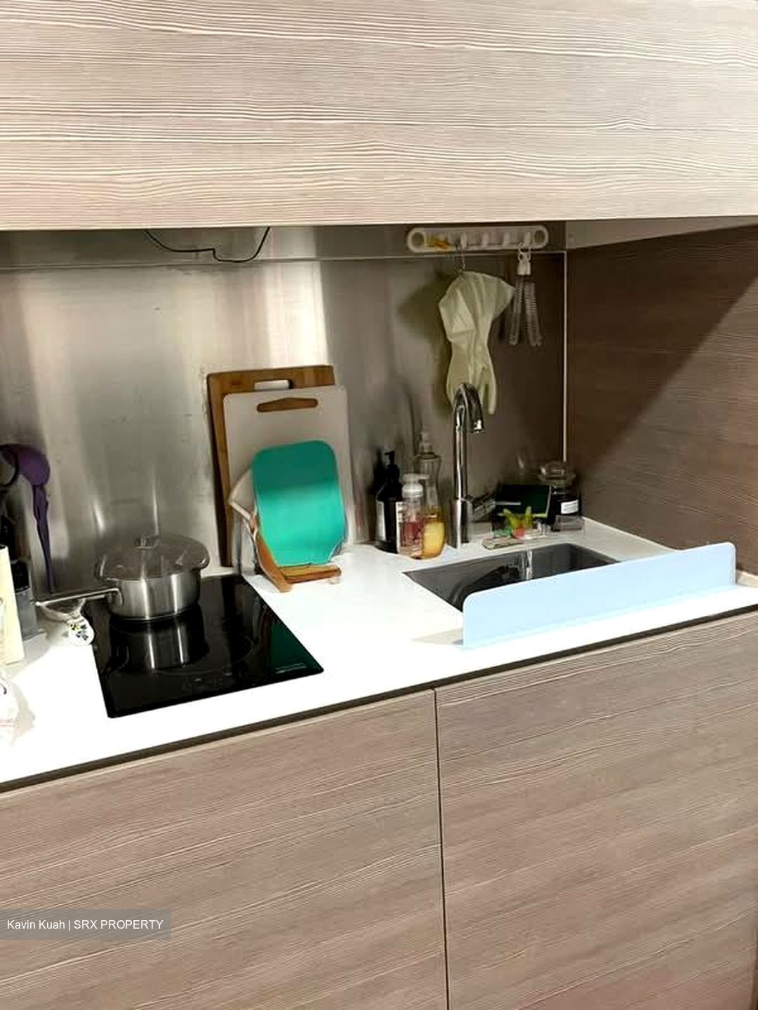 Seletar Park Residence (D28), Condominium #596491201